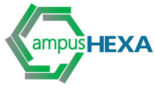 Aula Virtual Campus Hexa